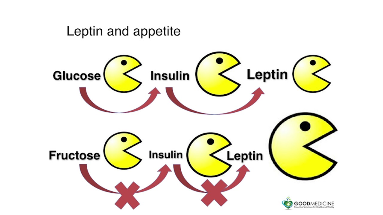 Insulin, Inflammation and Aging