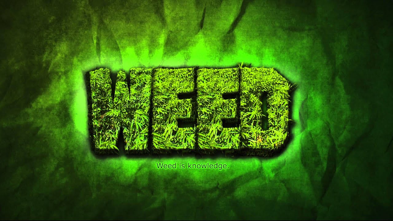W.E.E.D. - NoHomes