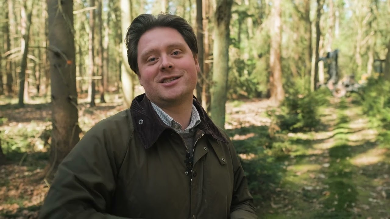 Clear Timber Analytics - LiDAR - Growing stock analysis