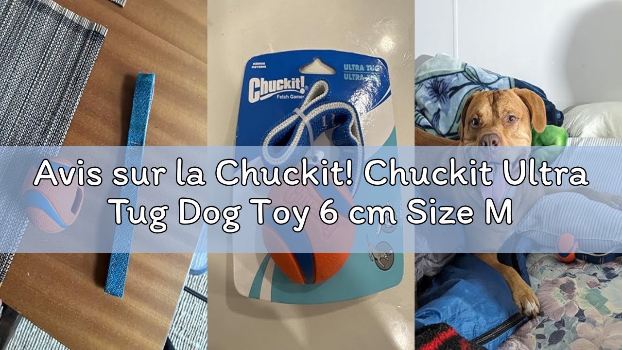 Avis sur la Chuckit! Chuckit Ultra Tug Dog Toy 6 cm Size M