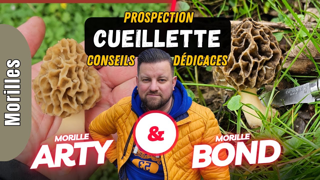 Trouver des morilles... Prospection malgré la mauvaise météo 2023 ! Dédicaces et conseils