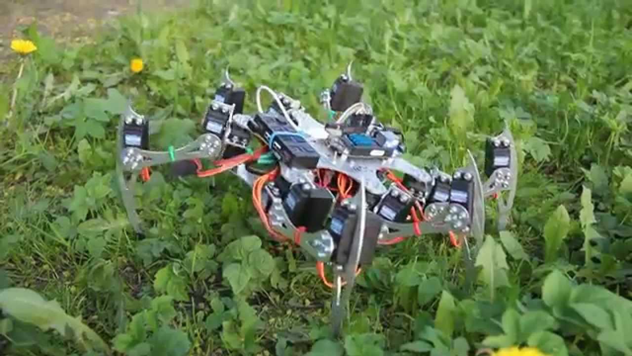 Hexapod Robot (BeagleBone Black and ROS)