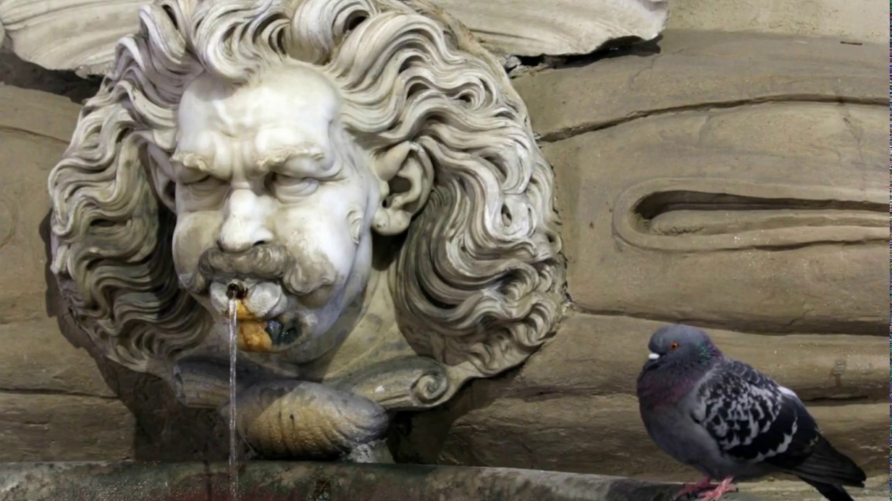 PLEASE LOVE FIRENZE