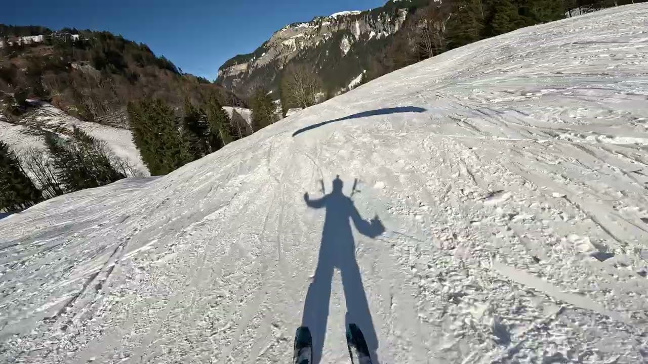 Speedflying Hochybrig vol.2