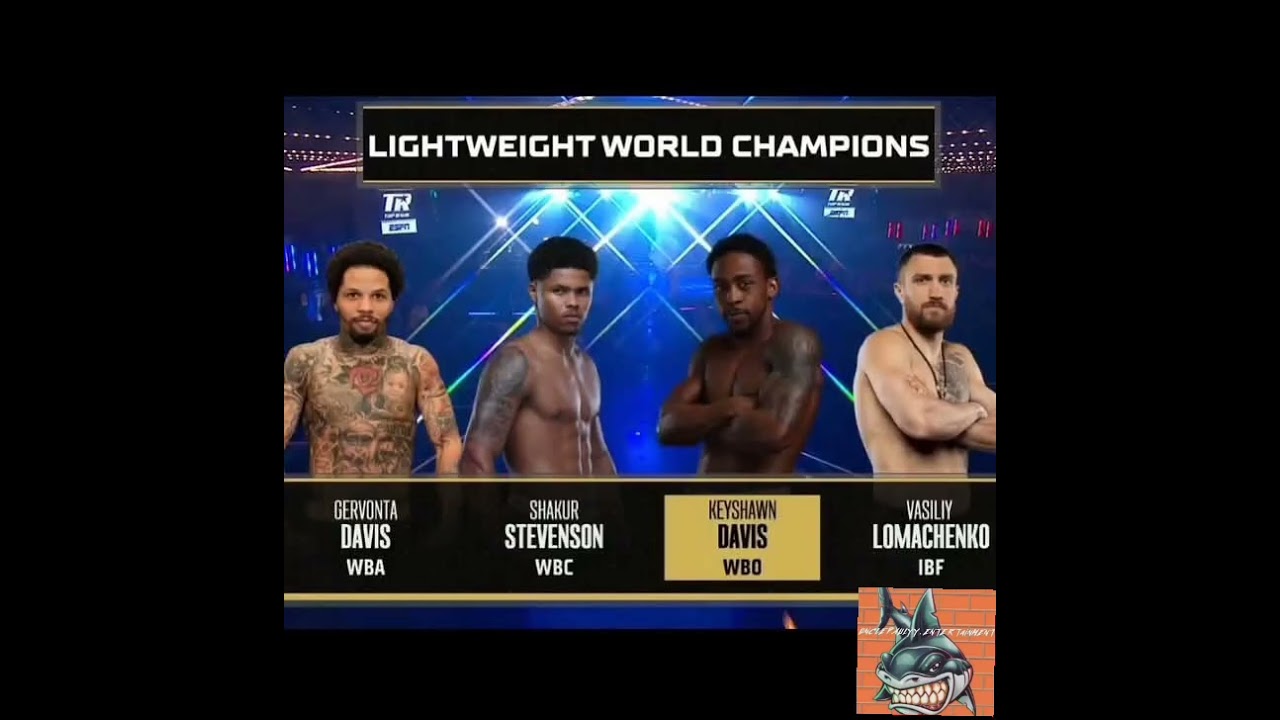 Current lightweight world champions 
