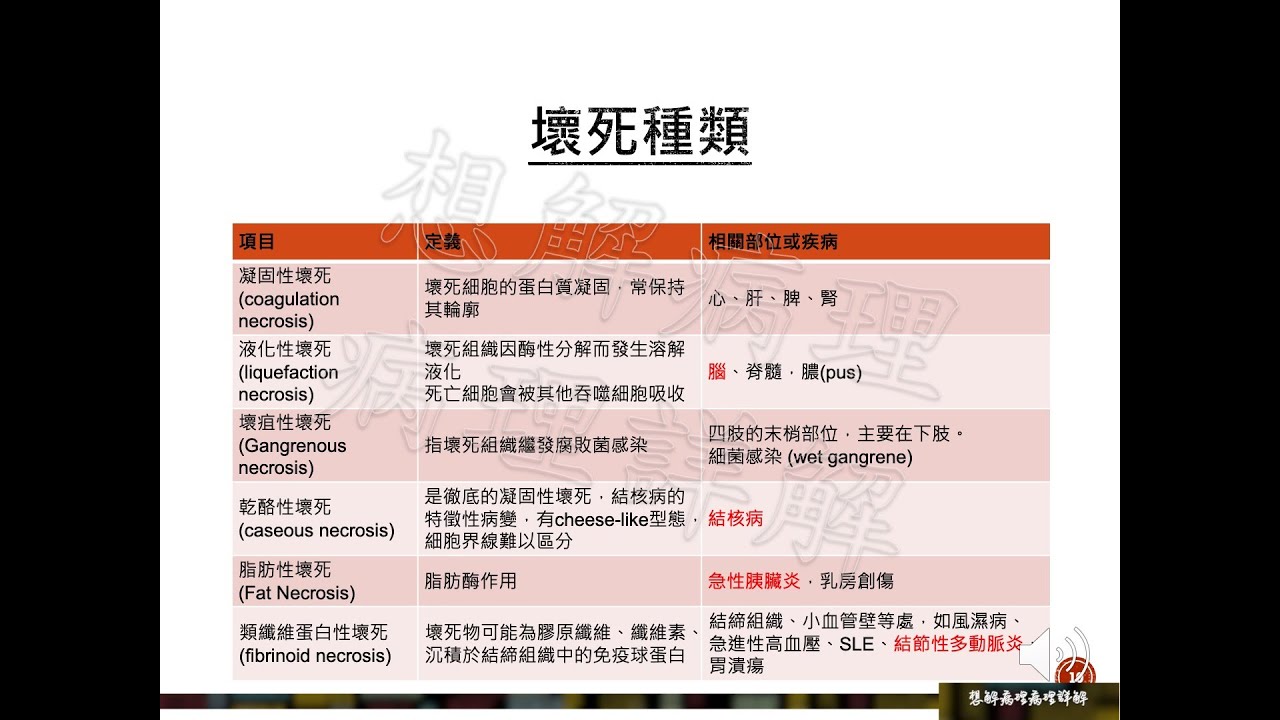 醫師國考病理詳解：細胞損傷、細胞死亡和適應