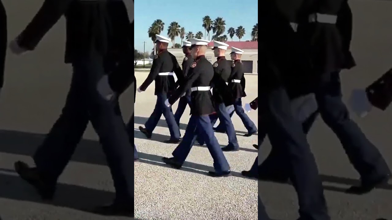 Строевая подготовка AMCSUS: Красота марширования. #usmc #marines #marinecorps #usmarines #shorts