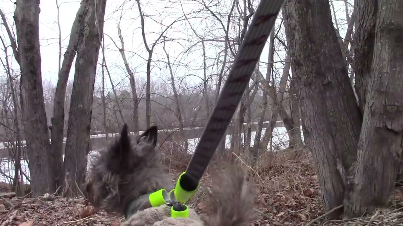 Part 2- Full uncut footage from wheelchair security camera of yesterday's dog attack & other stuff.