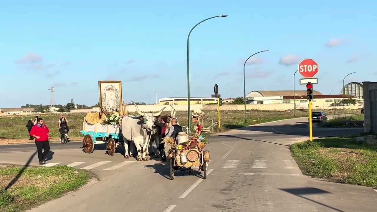 Campi salentina sfilata equestre 