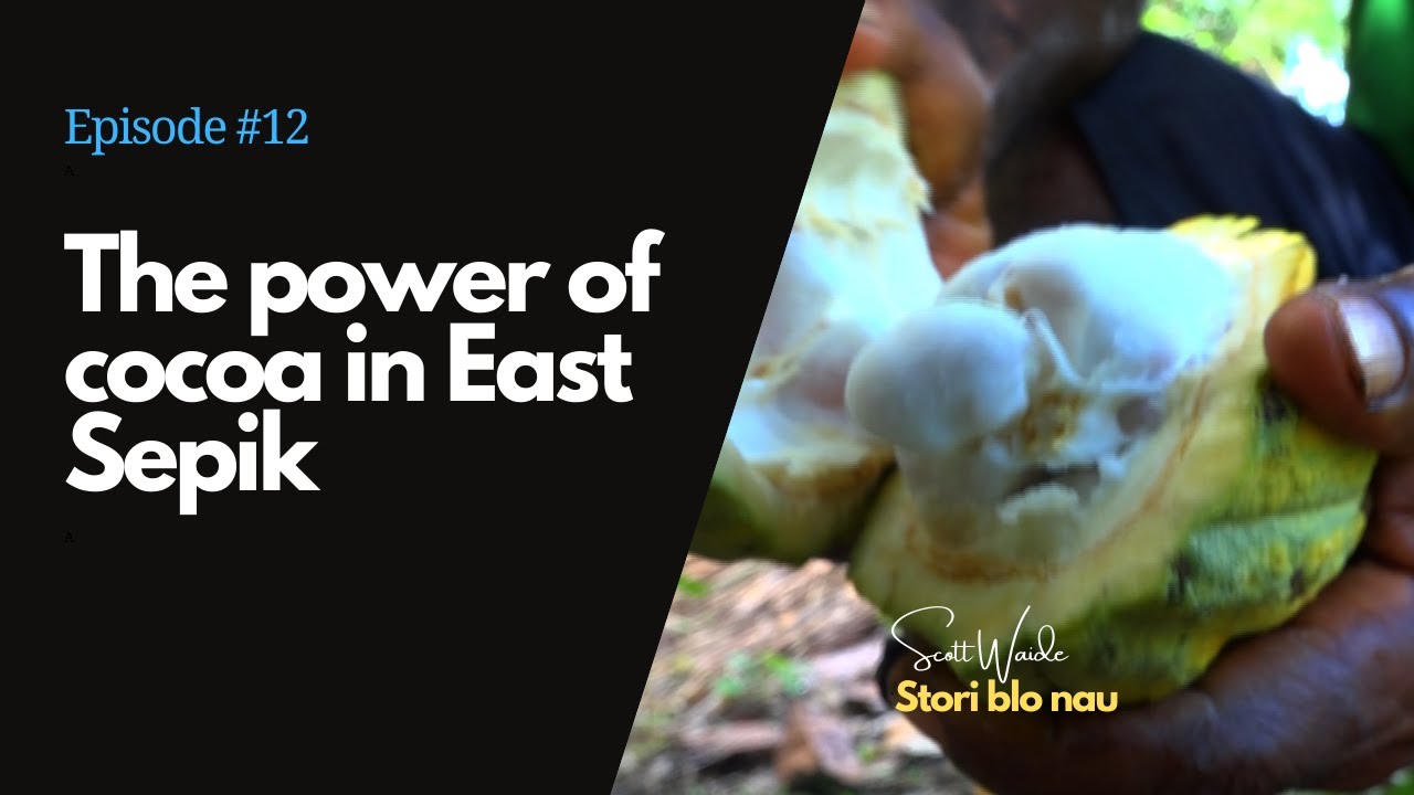 Episode #12 - The power of cocoa in East Sepik