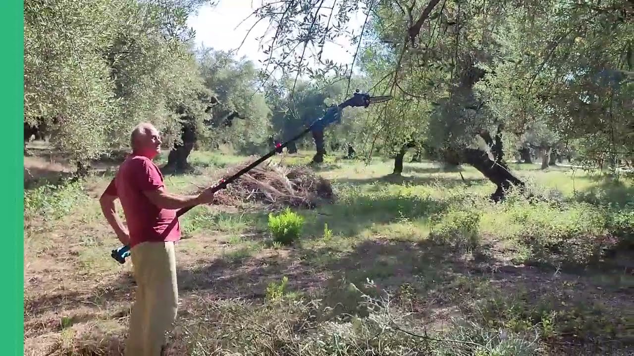 Αλυσοπρίονα Μπαταρίας με Τηλεσκοπικό Κοντάρι 2 Μπαταρίες & Αυτόματη Λίπανση Αλυσίδας