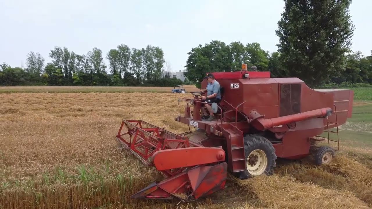 DRONE -- TREBBIATURA FRUMENTO 2023 con Laverda M120