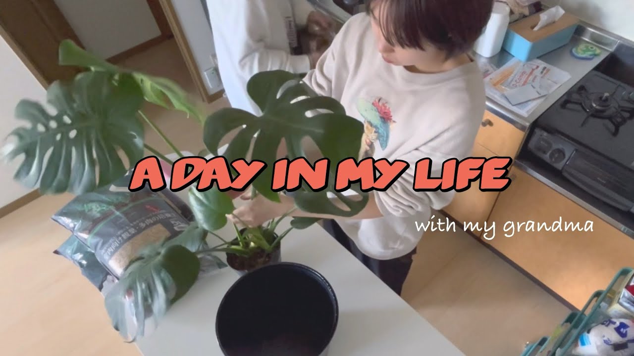#6｜vlog｜観葉植物の植え替え