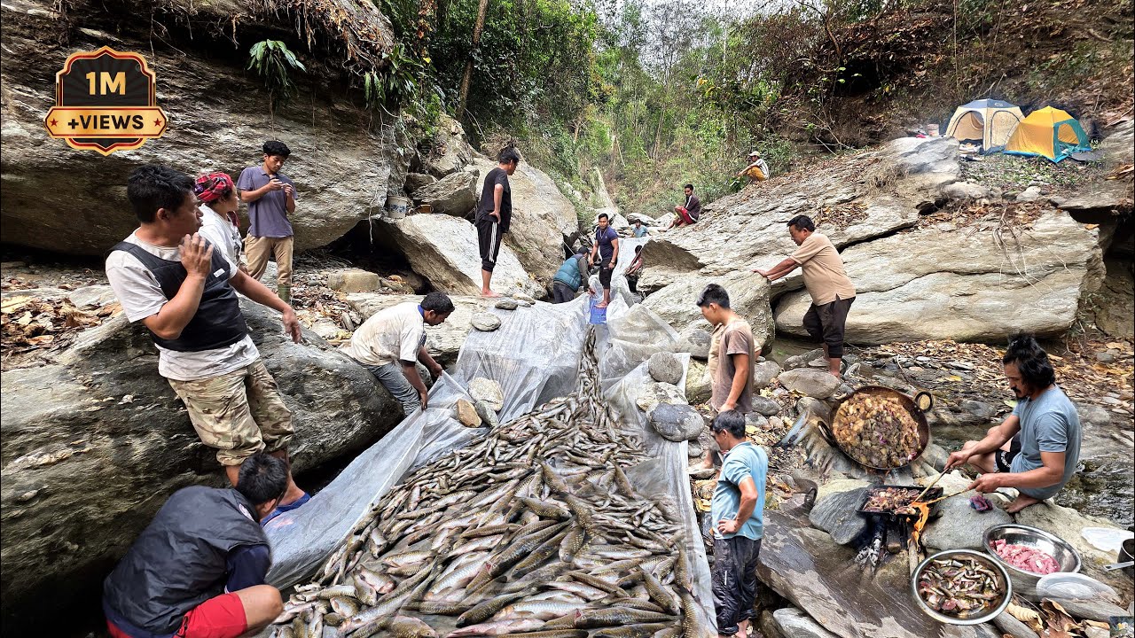 माछा मार्ने यस्तो रोचक तरिका सानो दहमै एक डोको माछा | खोलाको किनारमा ३ दिन माछा खादै अर्गानिक रमाइलो