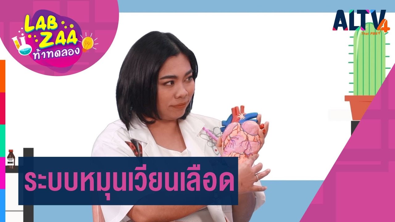 ระบบหมุนเวียนเลือด l Lab Zaa ท้าทดลอง  (22 พ.ย. 63)