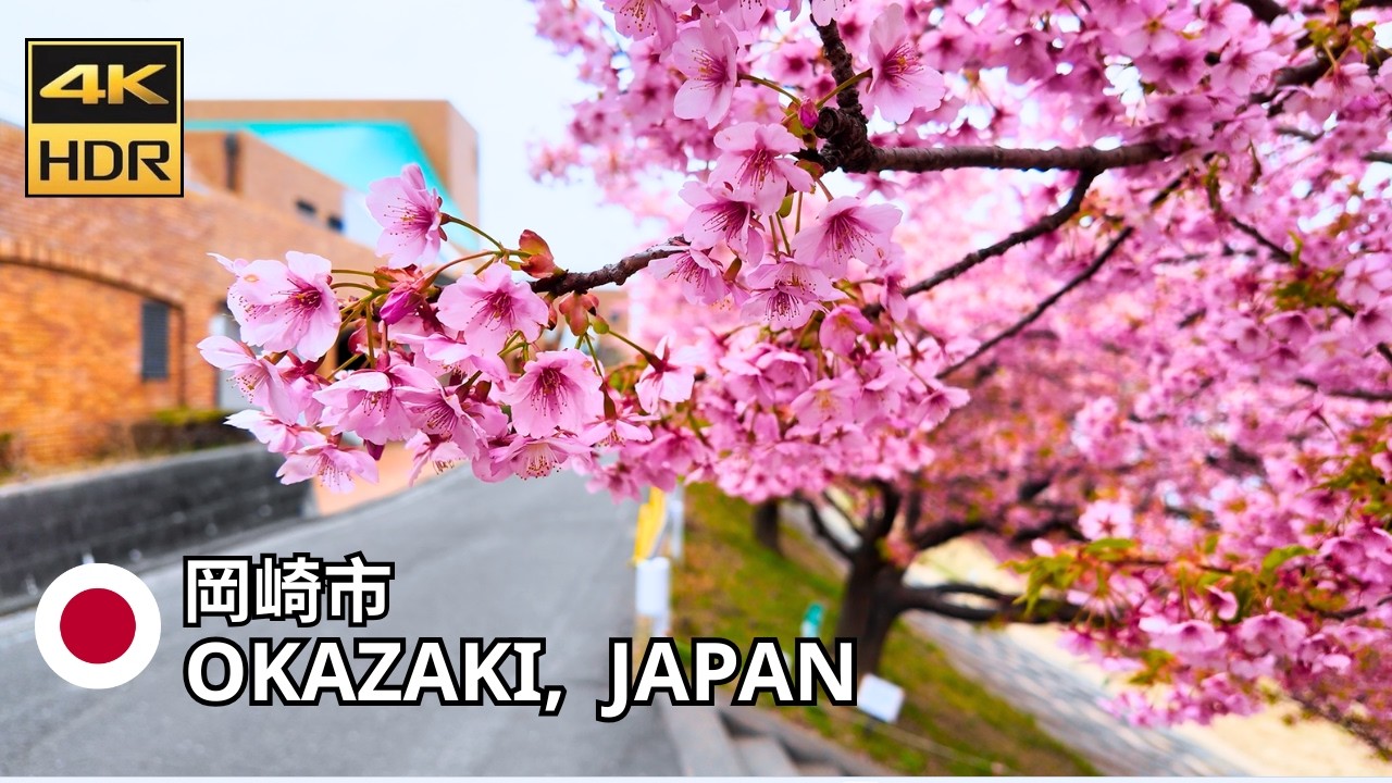 Early Cherry Blossoms in Japan – Okazaki Sakura Walk • 4K HDR