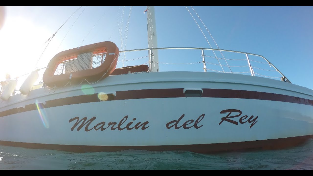 Marlin del Rey Tamarindo Catamaran Sunset Tour - Whales - Dolphins - Fish