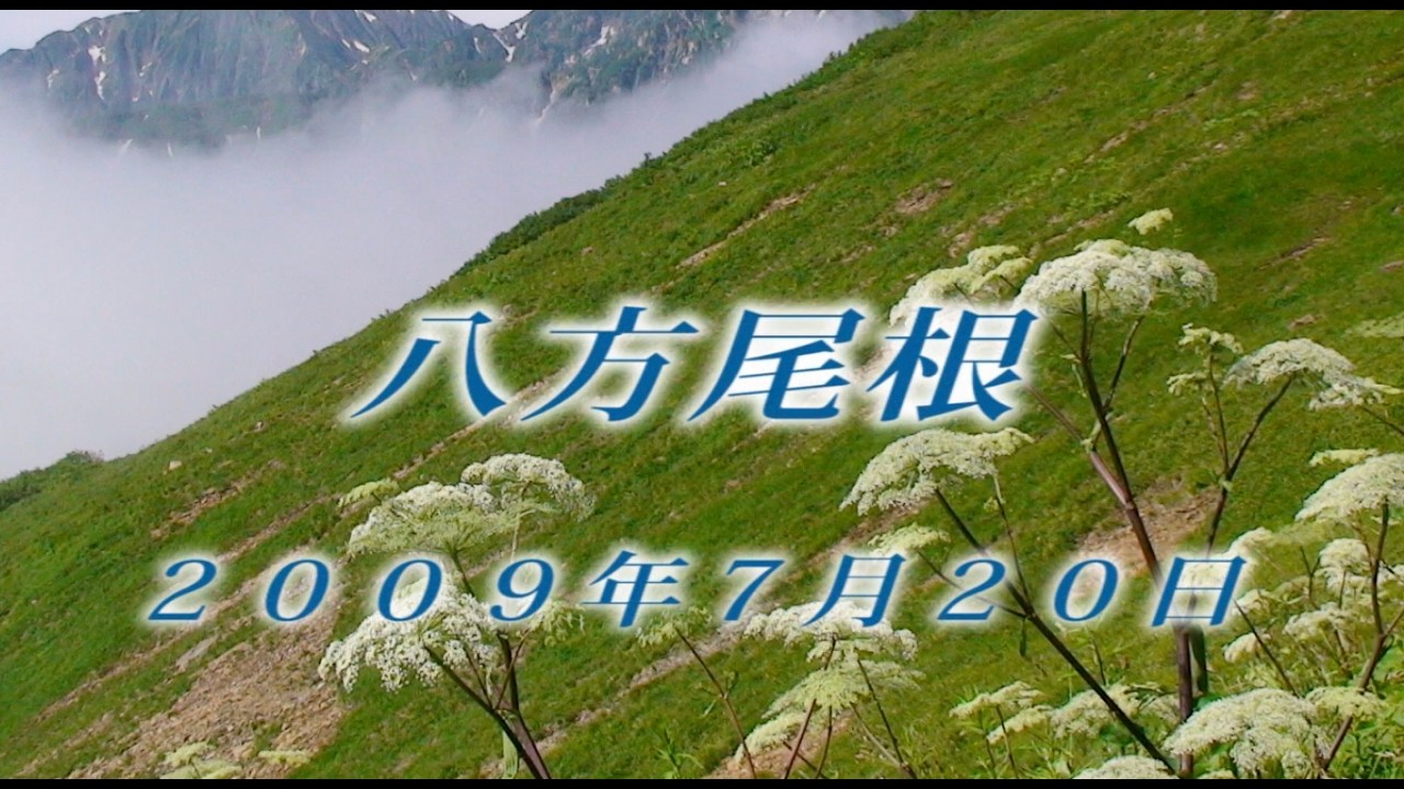 221 北アルプス八方尾根7月 2009年7月20日 - 生物多様性体験保全センター 高山植物を主とした野生植物の映像集