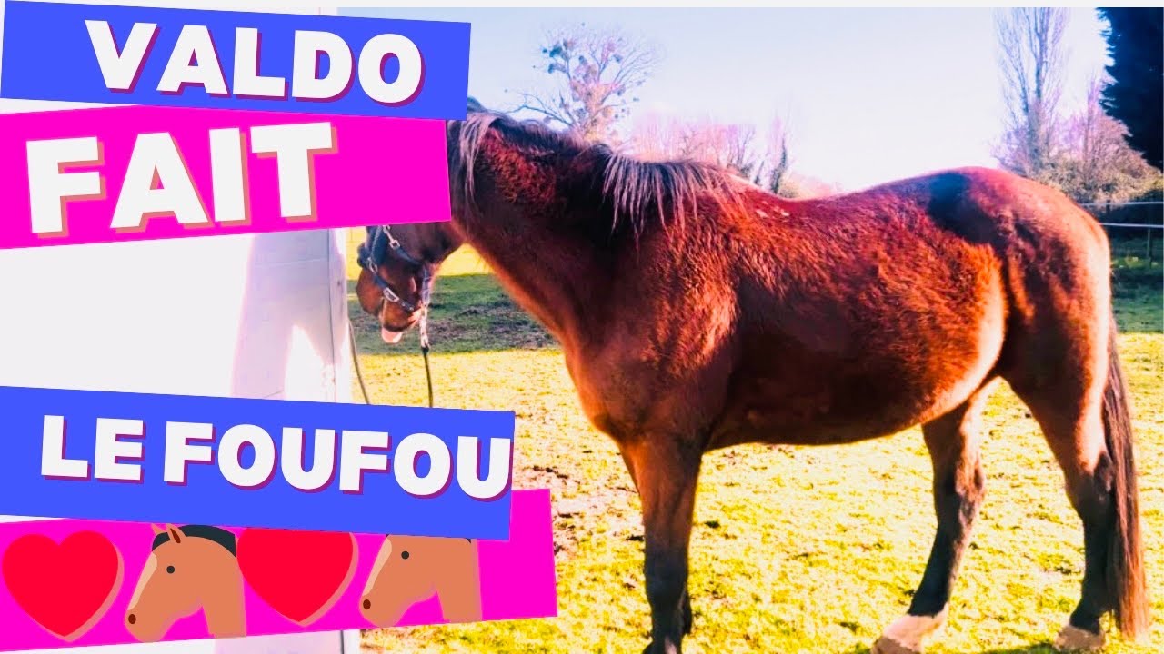 Semaine bien remplie 