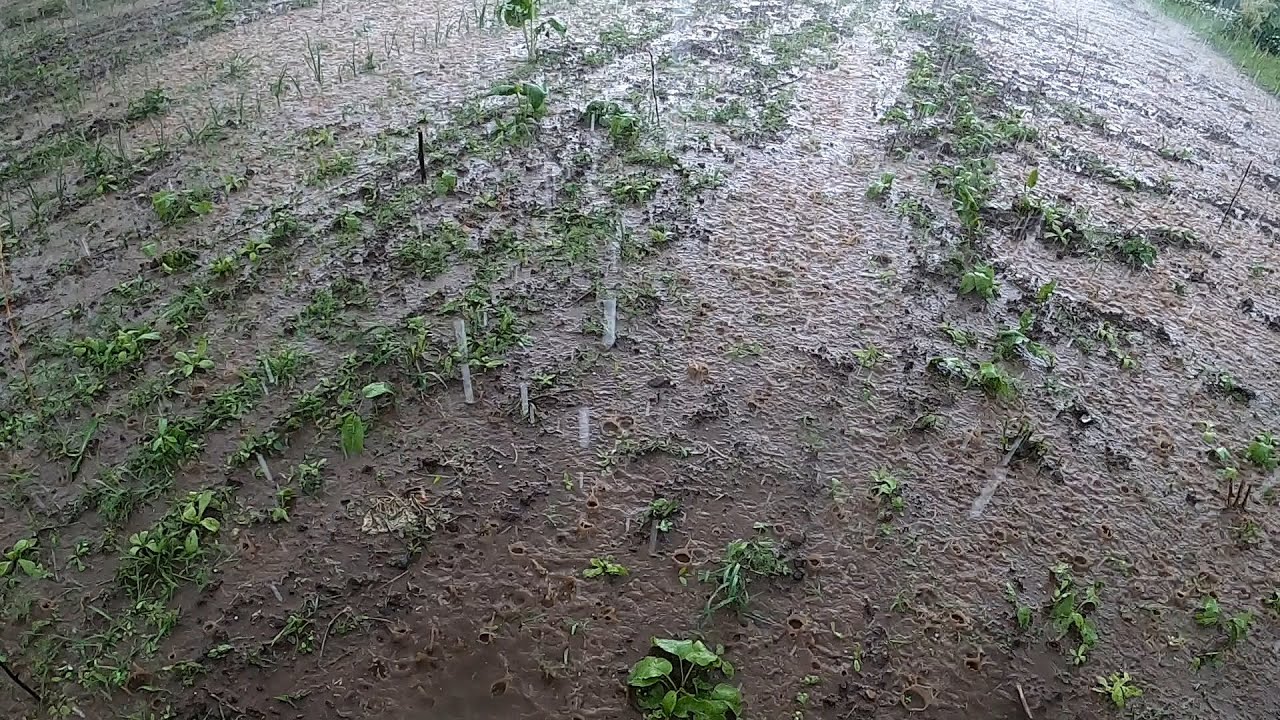 Nadzwyczajna ilość wody w maju Burza i ulewa