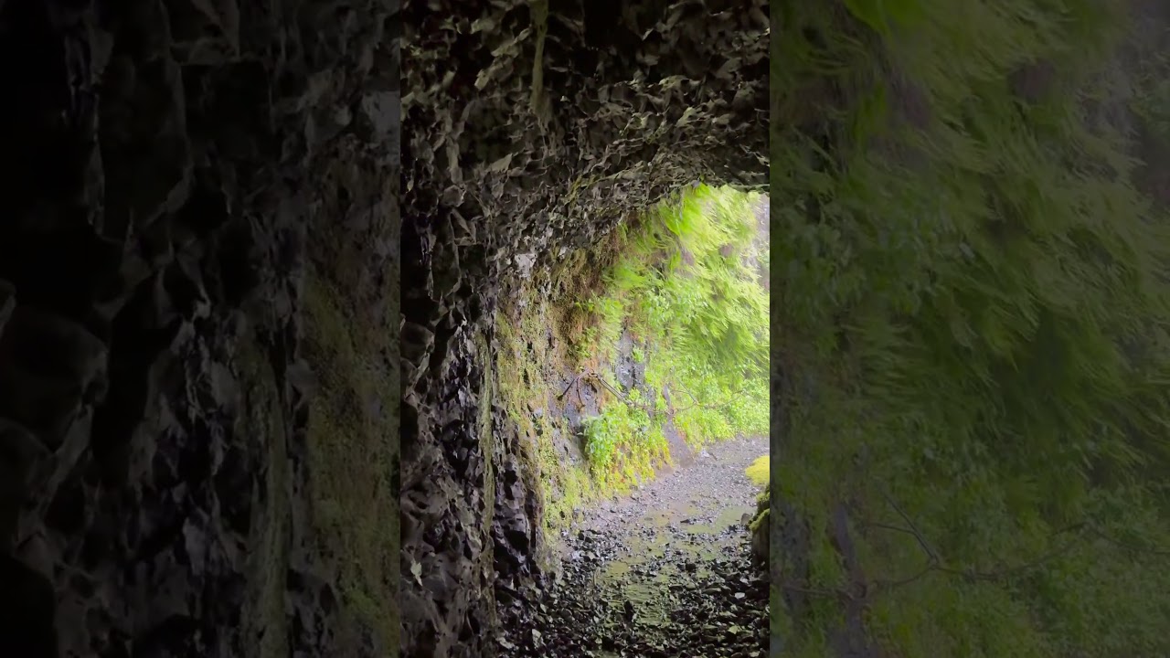 Tunnel falls, Oregon #waterfall #hiking #greatpnw #oregon
