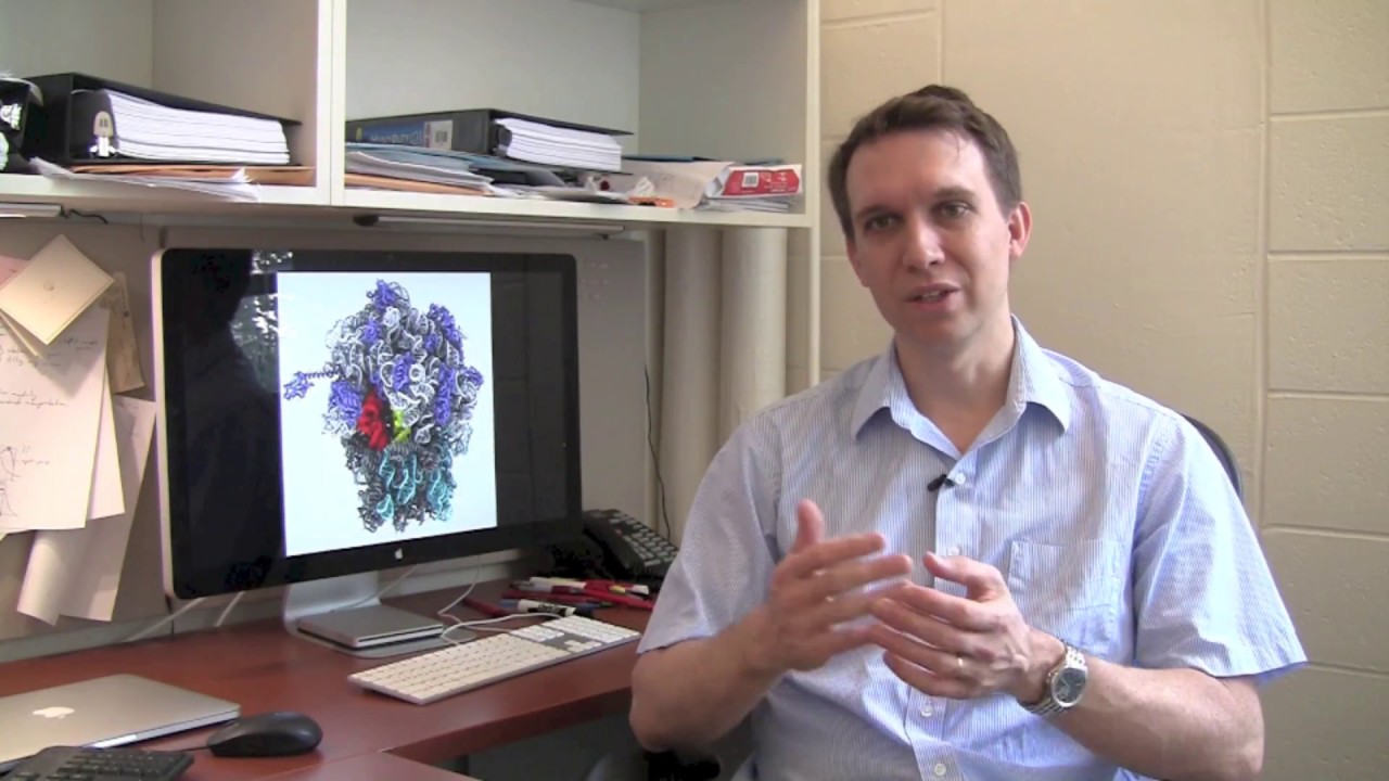 Modeling Molecular Machines