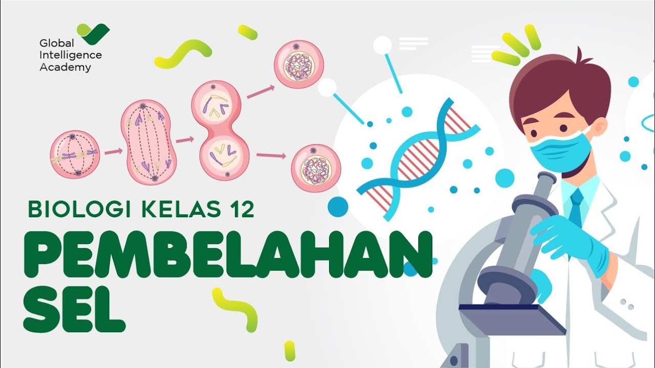 BIOLOGI SMA Kelas 12 - Pembelahan Sel | GIA Academy