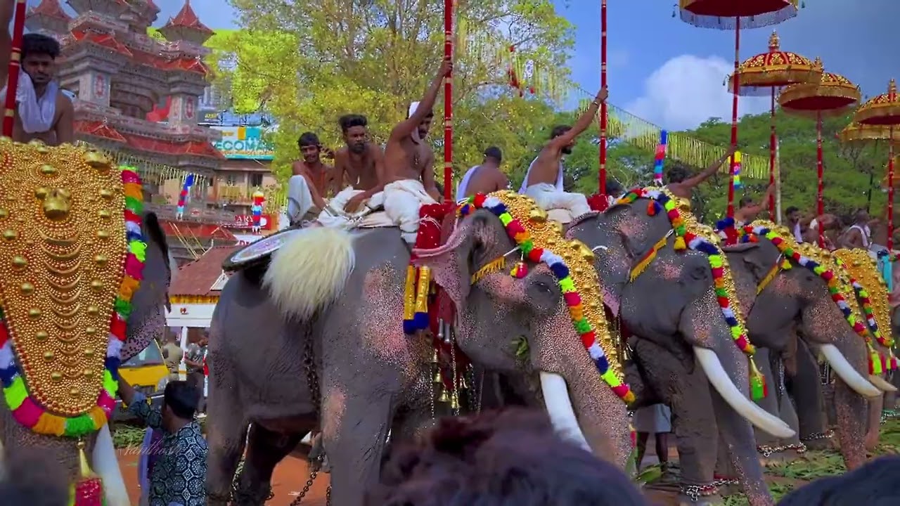 PooramThrissur 2th day#2025 #thrissur #thrissurpooram #aanapooram#thrissivaperoor #mobilevideography