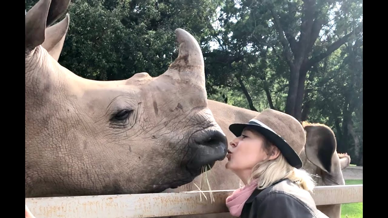 Over and Above Africa Rhino Dehorning & School Children Project - Phinda