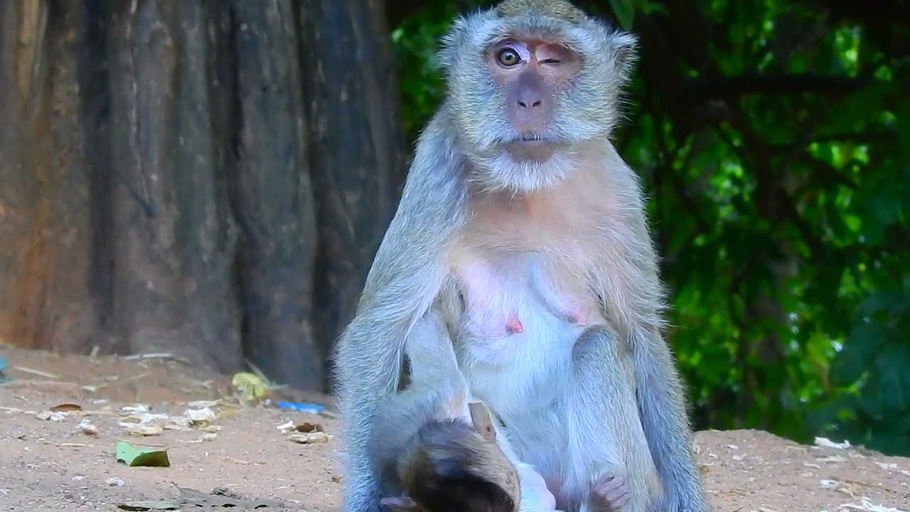 billion pity,  Vego broken heart when see poor Est baby