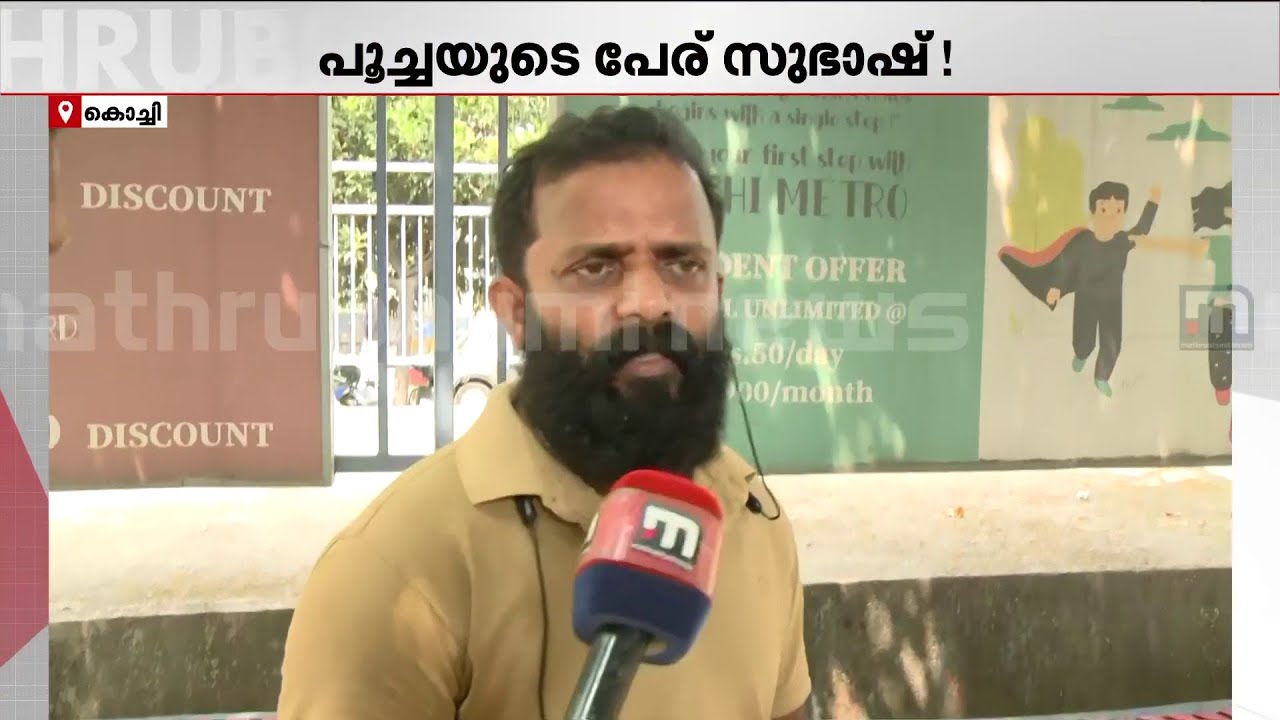 'കുറച്ച് ദിവസമായി പൂച്ചയെ കാണാറുണ്ട്, മുൻപും രക്ഷിക്കാൻ ശ്രമിച്ചിരുന്നു, പക്ഷേ സാധിച്ചില്ല' | Cat