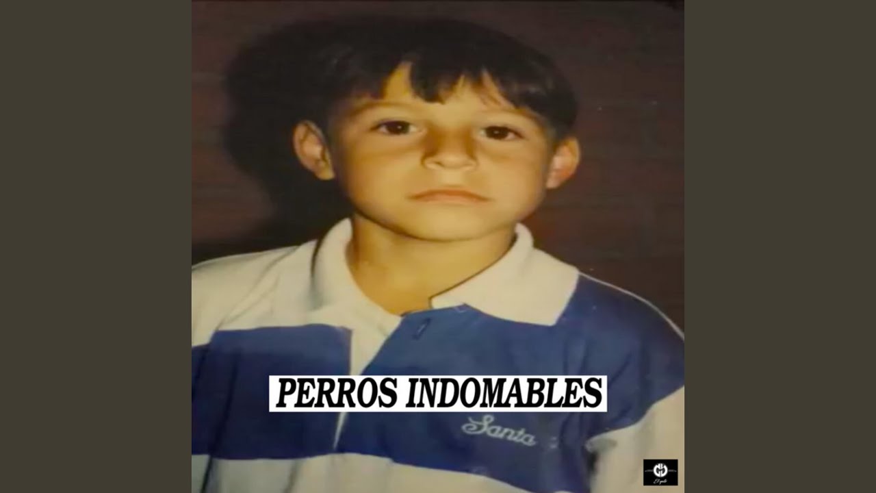 Perros Indomables