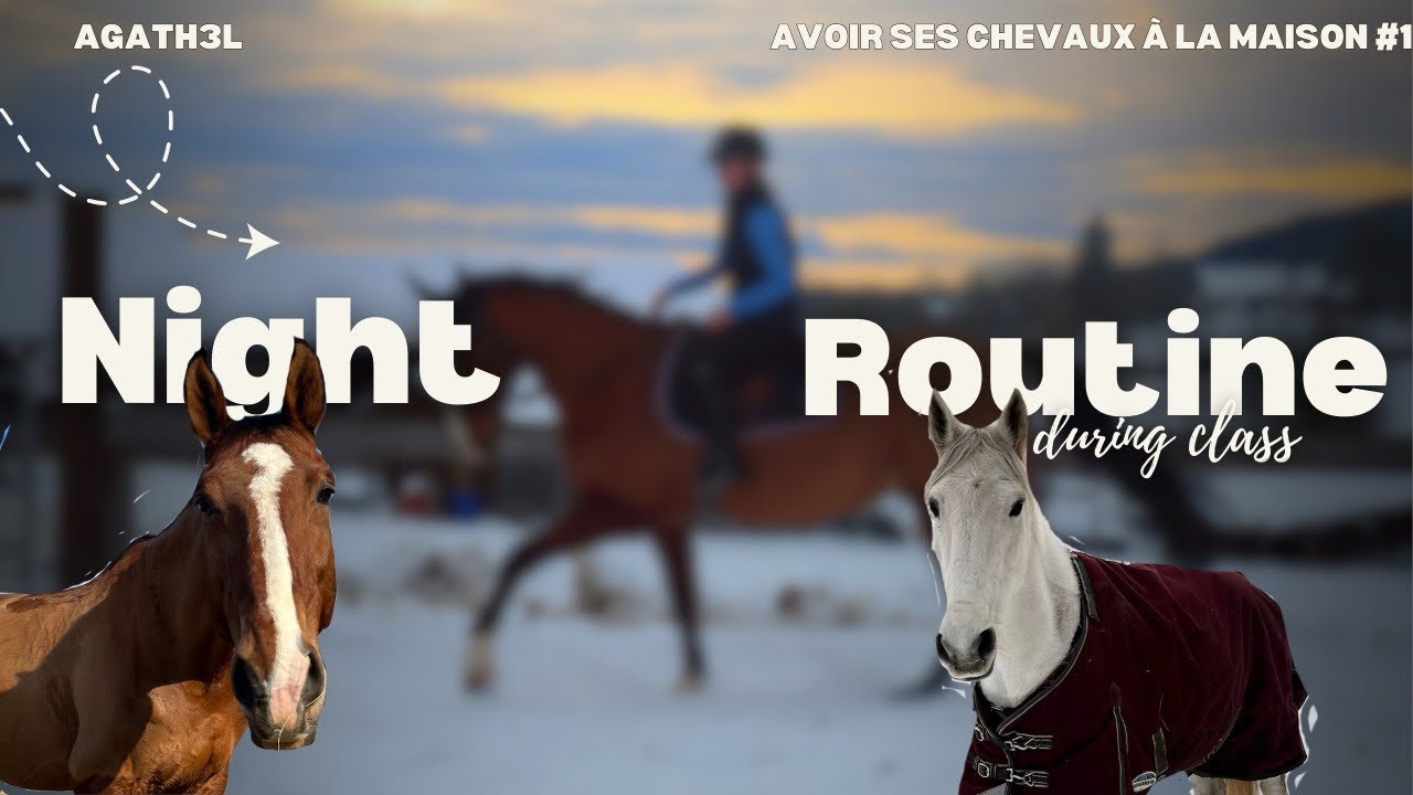 my night routine with my horses ⭐️