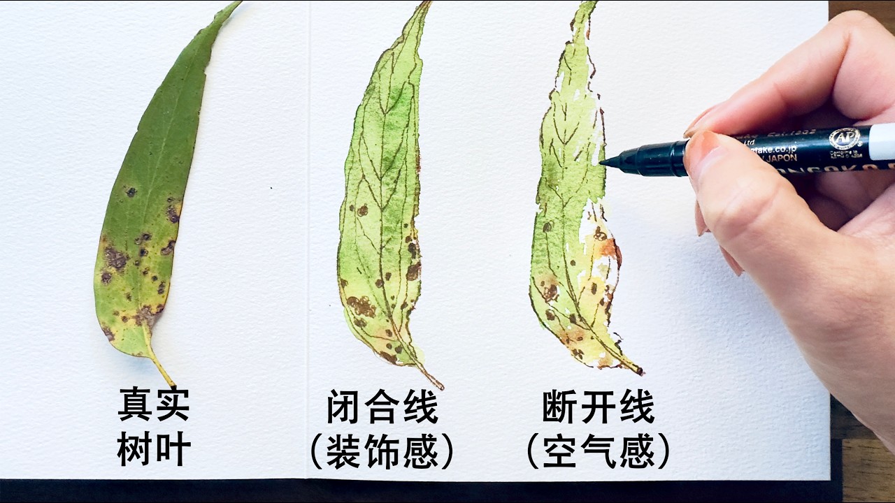 别把线画死！学会这招“断线法”，你的水彩会呼吸。