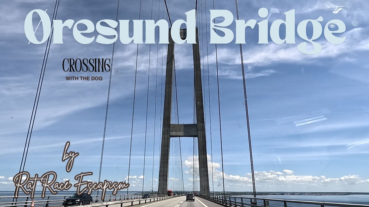 Crossing the Øresund Bridge — From Denmark to Sweden’s Wild Forests 🌉🌲