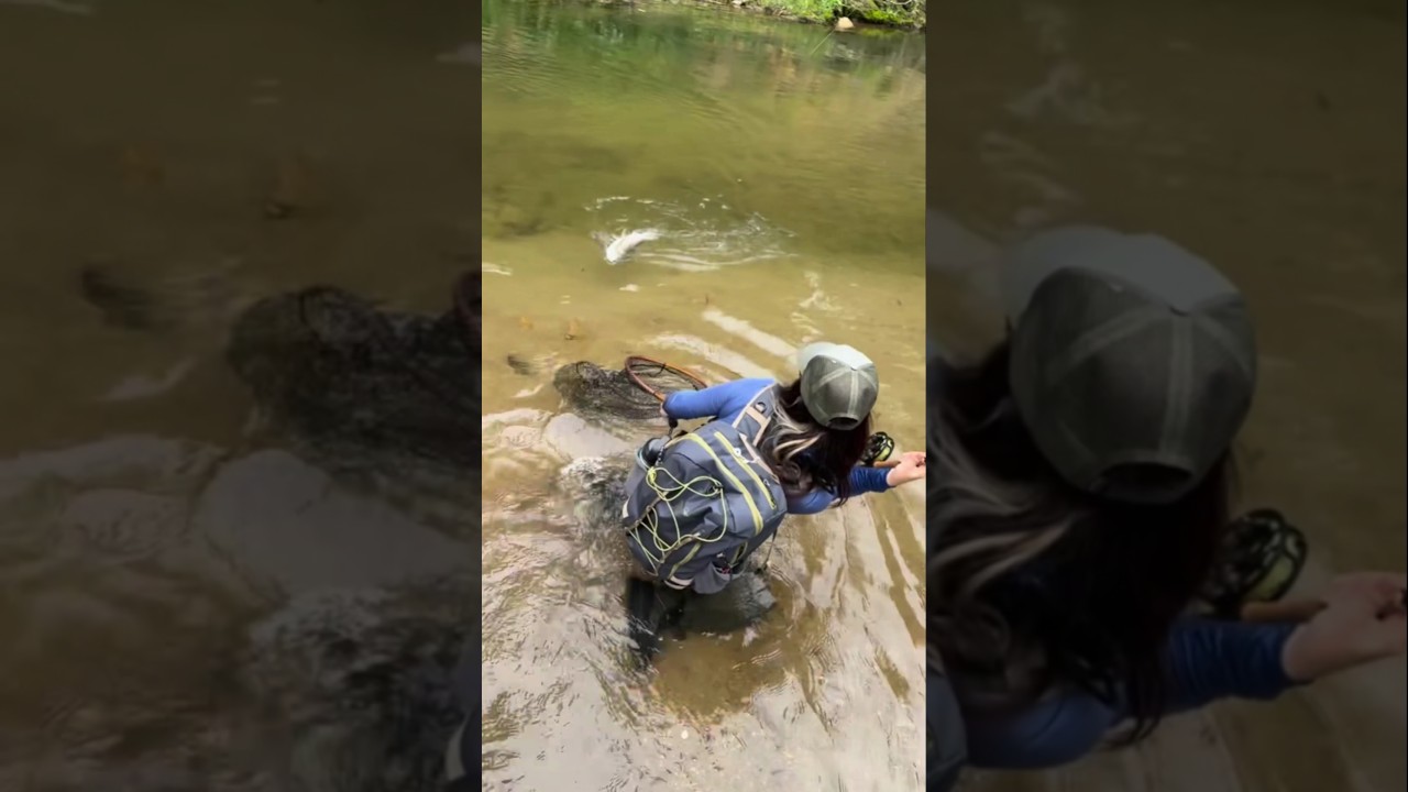 Unexpected Fish Attack in Shallow Water 😳