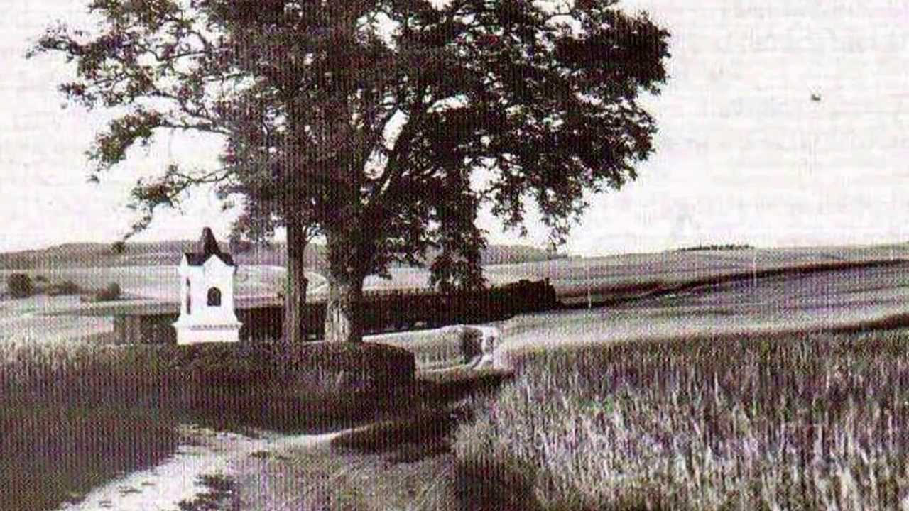 Landau Leben Lieben Teil 2