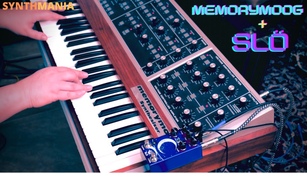 Memorymoog and Walrus Slö