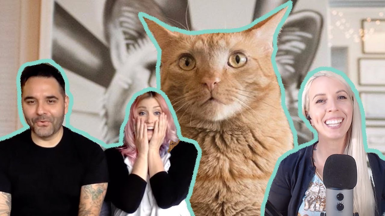 What It's Really Like Running a Cat Rescue