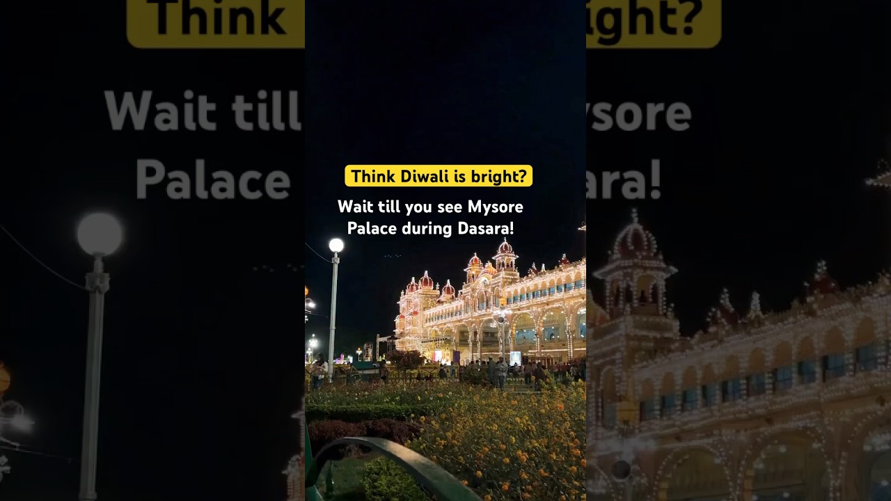 When elephants dress up better than we do &mdash; only in Mysore Dasara!
