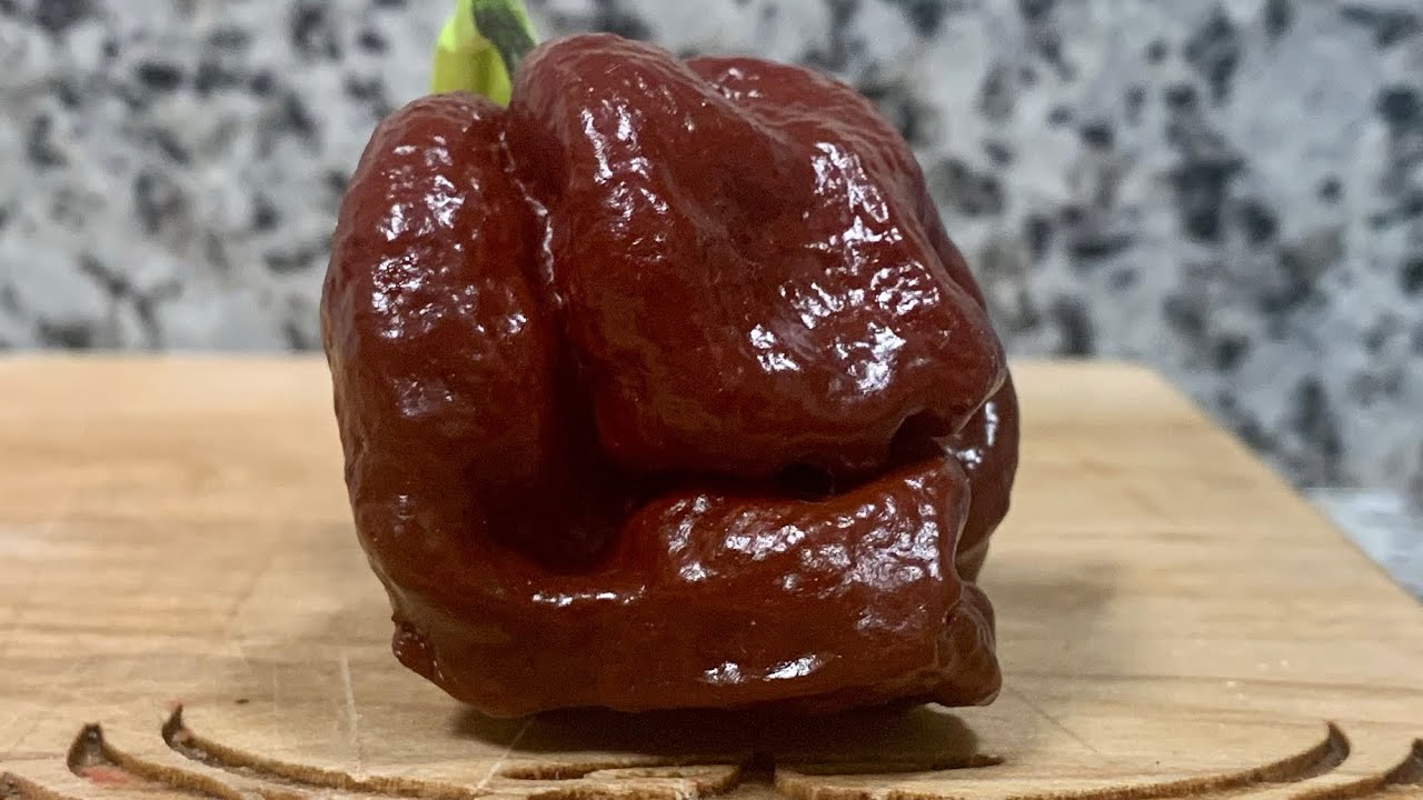 Шоколадный скорпион от Abercrombie Hot Peppers! Очень большой и корявый стручок, правда?!