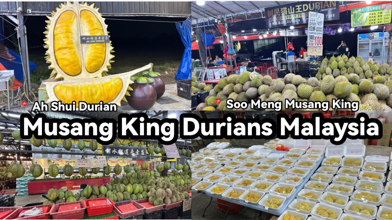 Musang King Durian Stalls Malaysia | Best Places to Enjoy Durians in JB
