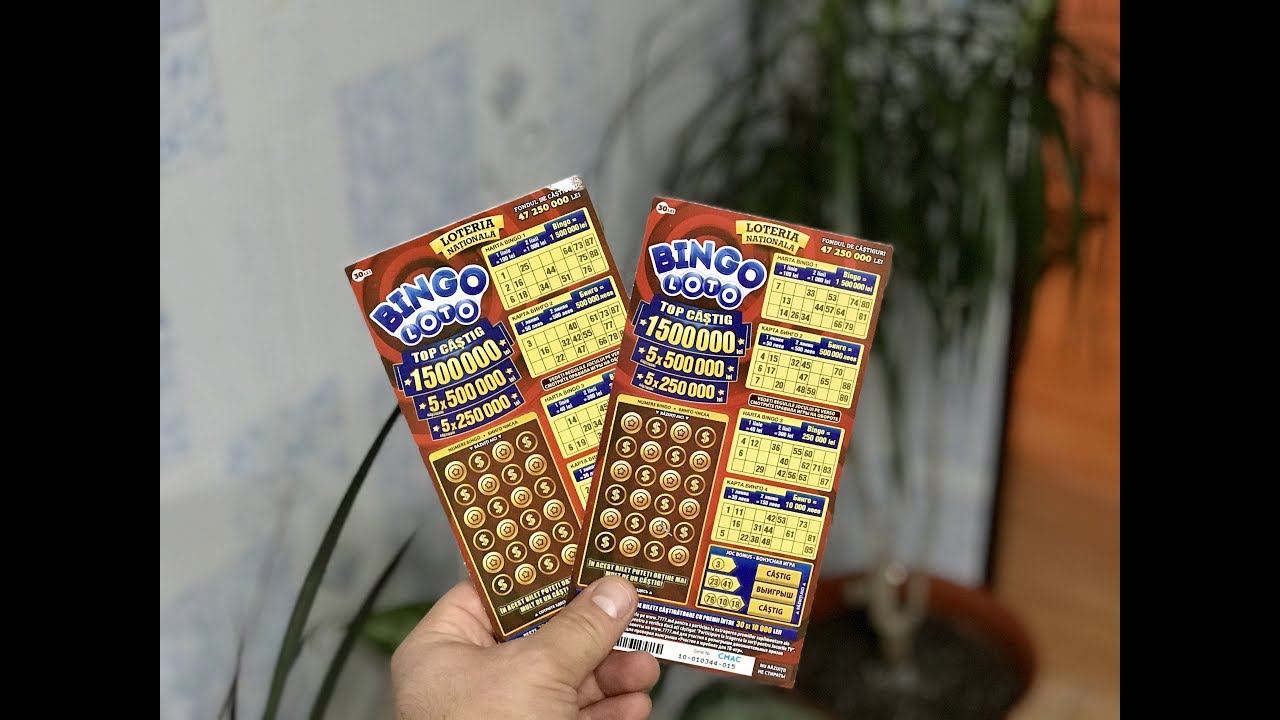 ✅Bingo Loto X 2 ... А вот и выигрыш 🤩
