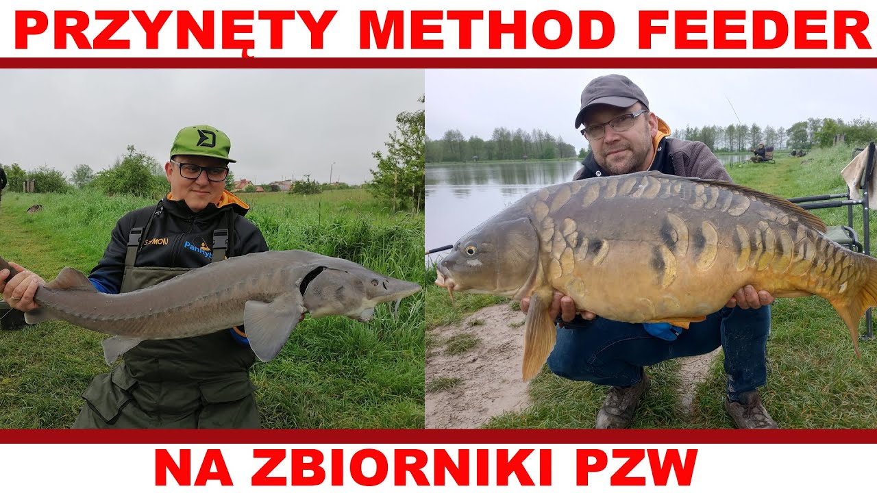 Przynęty Pana Ryby method feeder na PZW