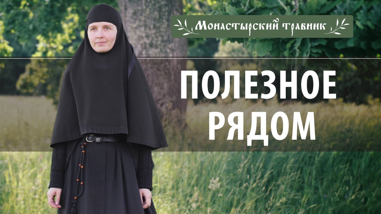 Полезные растения рядом с нами. Монастырский травник № 3