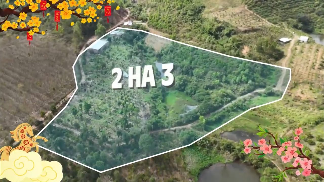 691) bán 2,3 héc trang trai  xã eao tinh Đak Lăk lh 0978831373