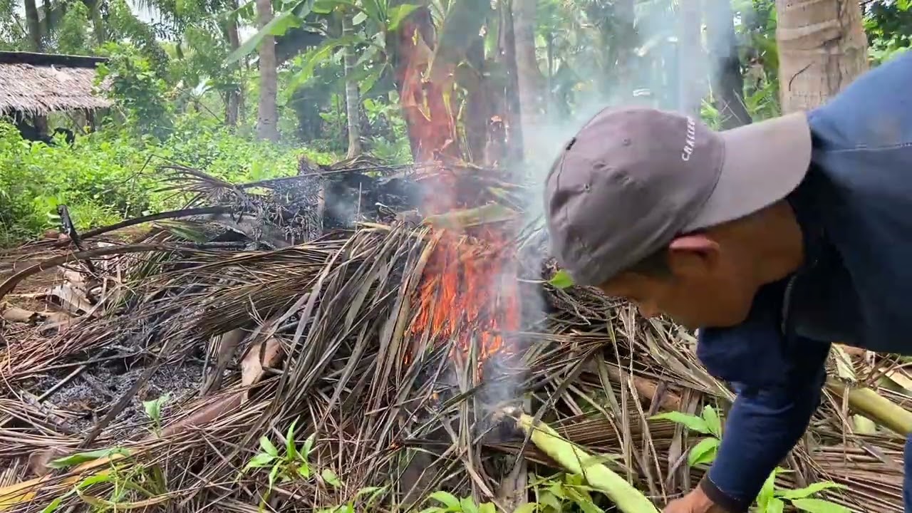 Country Living: Burning Coconut Leaves & Roasting Sweet Potatoes Over Fire