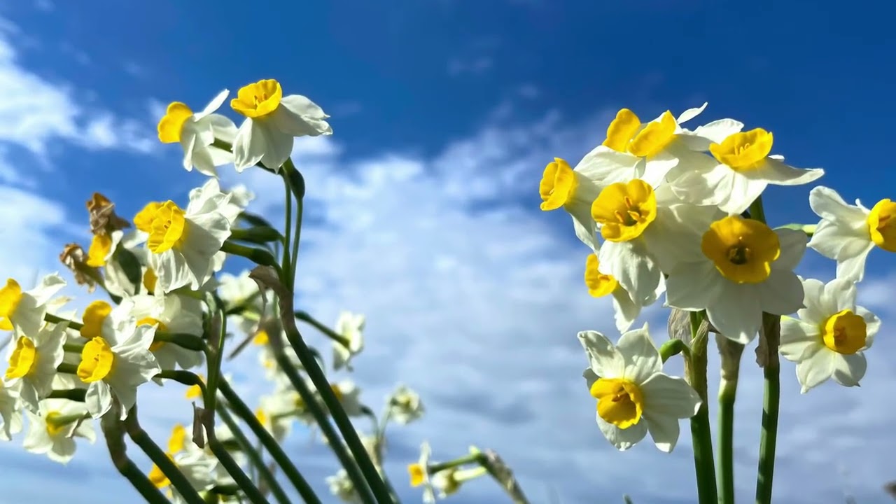 Пространство души … 