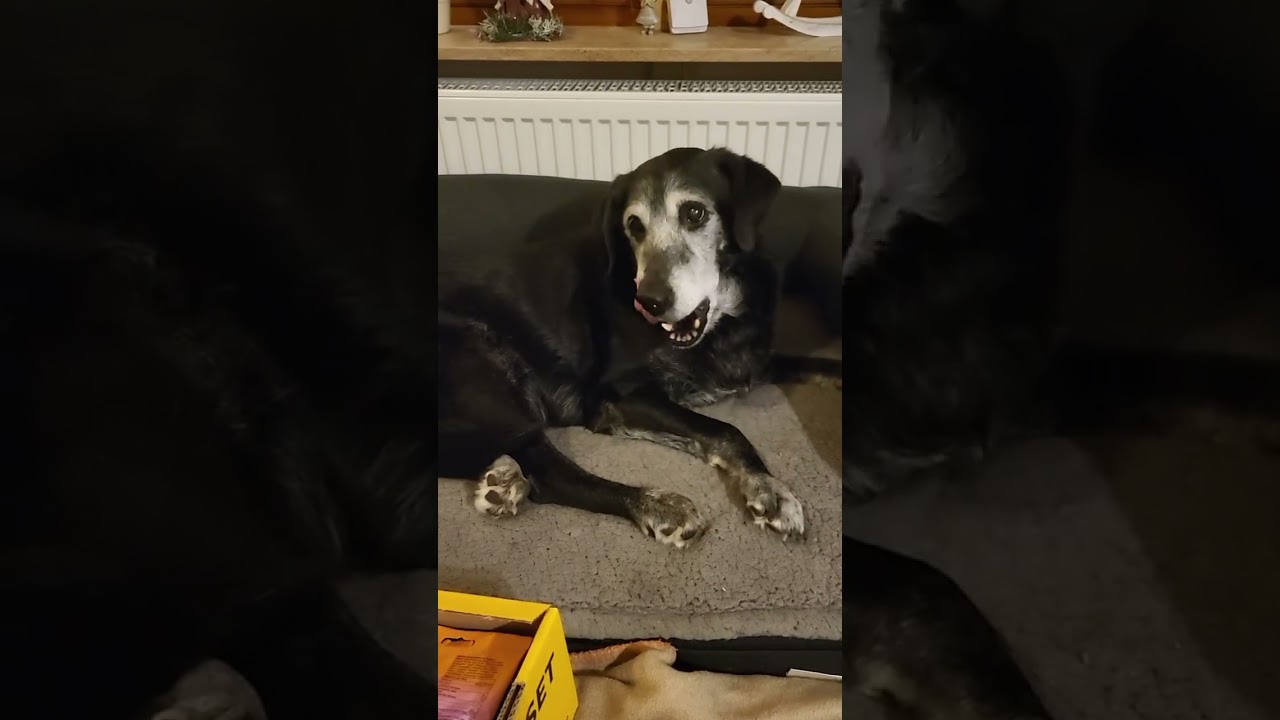 Dona und ich haben wieder ein Paket bekommen 16.1.26