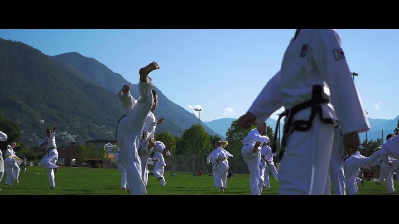Traditional Taekwondo Training by Terranova  권재화 태권도